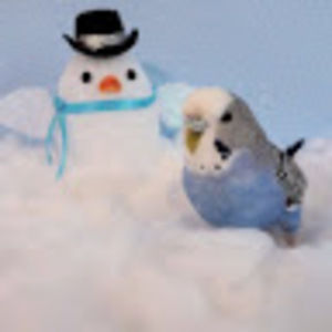 Meet your Posher, The cute